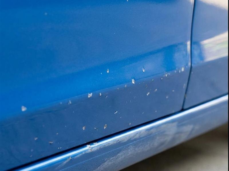 Stone chips before SMART repair